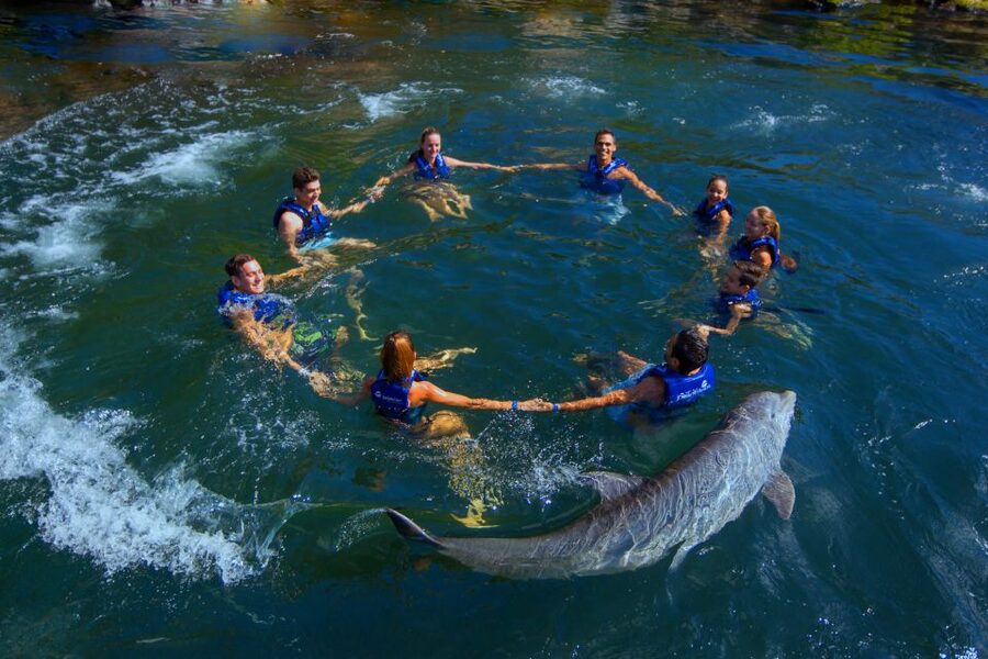 Riviera Maya: Swim with dolphins Interax - Safety, comfort, and how to be a good guest in the habitat