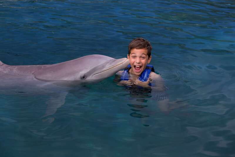 Riviera Maya: Swim with dolphins Interax - The 45-minute flow: from check-in to 30 minutes in the water