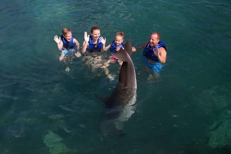 Riviera Maya: Swim with dolphins Primax - Who This Is Best For (and Who Should Consider Another Option)