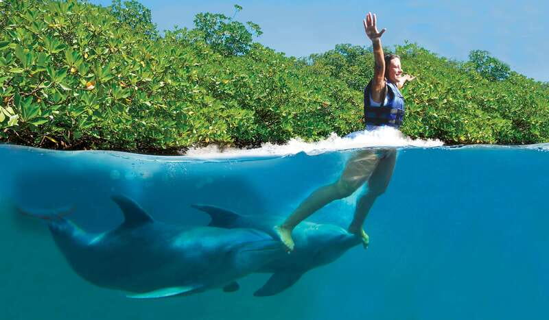 Riviera Maya: Swim with dolphins Primax - Inside the 18 Dolphin Activities (And Why They Matter)