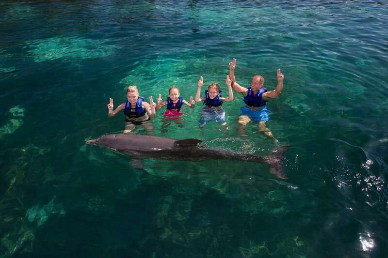 Riviera Maya: Swim with dolphins Primax - The 15-Minute Dolphin Snorkel Segment