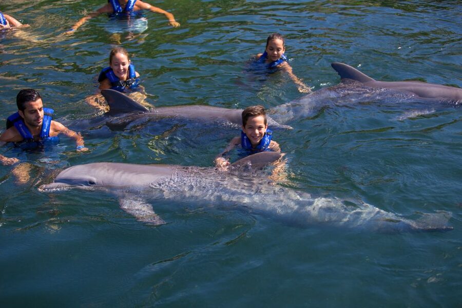Riviera Maya: Swim with dolphins Primax - Included vs. Not Included: Is It Worth $197?