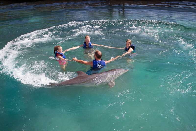 Riviera Maya: Swim with dolphins Primax - Meeting Point Tips and What to Bring