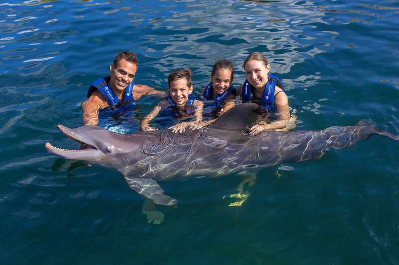 Riviera Maya: Swimming Experience with Dolphins - The Dolphin Activities: Physiology, Anatomy, Behavior, and More