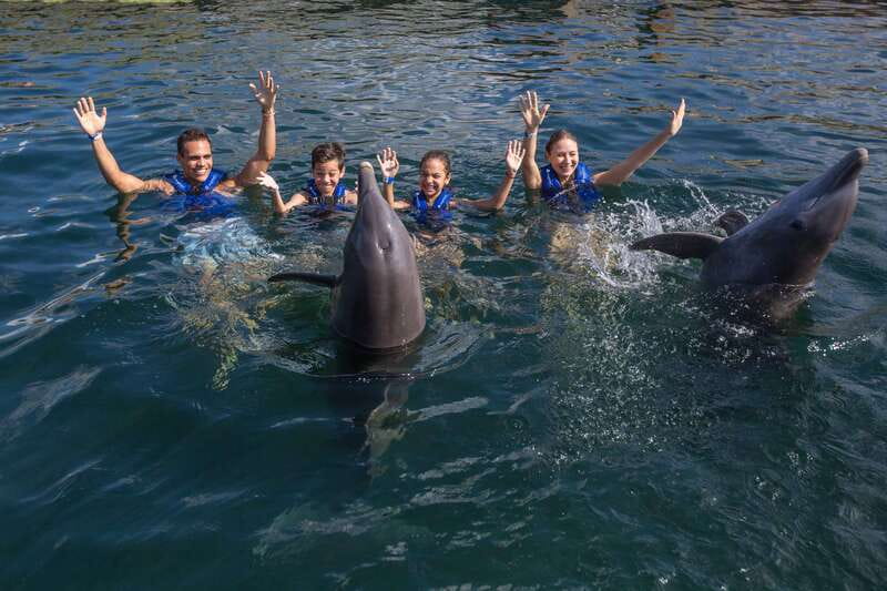 Riviera Maya: Swimming Experience with Dolphins - Price and Value: $127 Plus the $50 MXN Aquatic Animal Tax