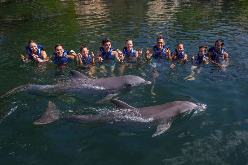 Riviera Maya: Swimming Experience with Dolphins - Photography and Souvenirs: Plan for the On-Site Photo Purchase