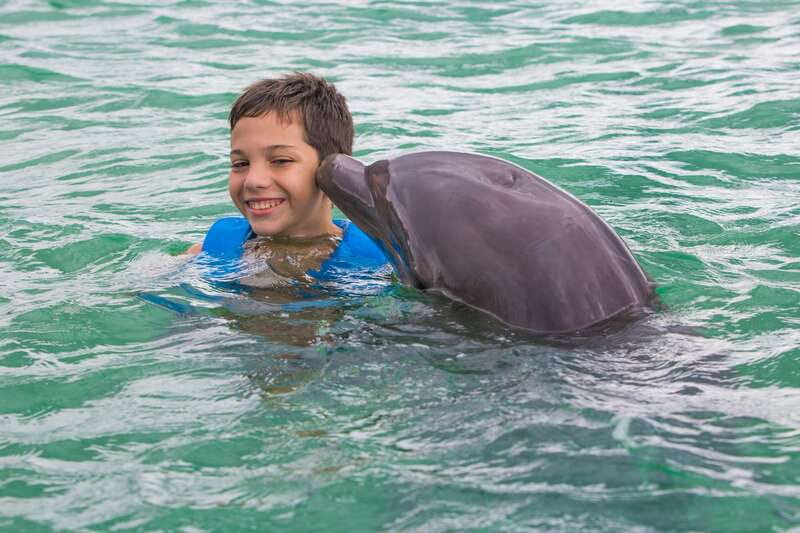 Riviera Maya: Swimming Experience with Dolphins - Who This Dolphin Swim Suits Best in the Riviera Maya