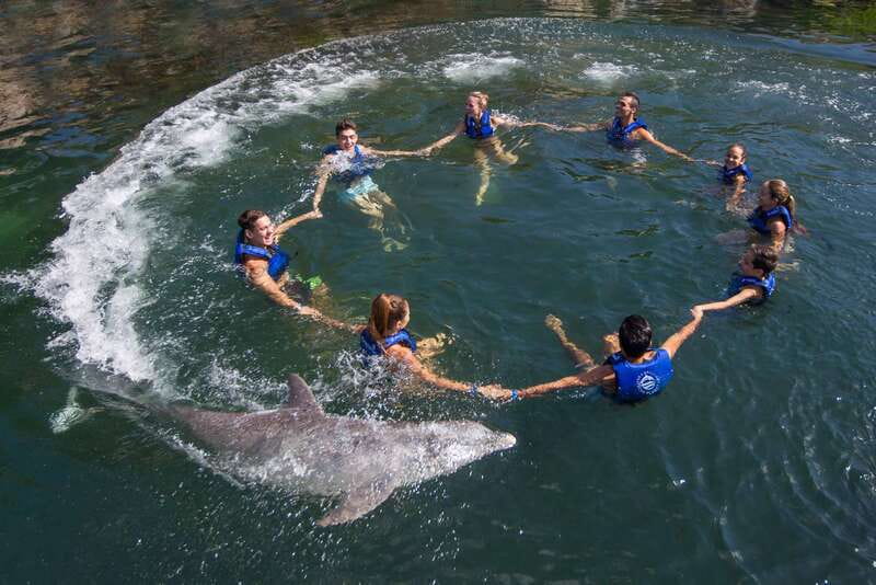 Riviera Maya: Swimming Experience with Dolphins - The 45-Minute Flow: How the 20 Minutes in the Water Really Works