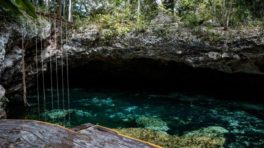 Riviera Maya: Tulum Ruins and 2 Cenotes Half-Day Tour - The “free time” at Tulum: wander, photos, and heat management