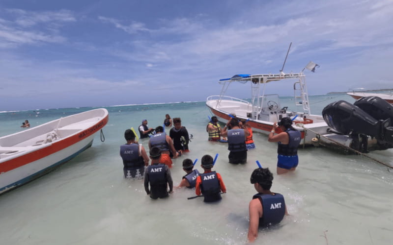 Riviera Maya: Tulum Ruins Tour, Turtle Swimming, Cenotes, and Lunch. - Three Cenotes, Three Moods: Cave, Open, and Semi-Open Swims