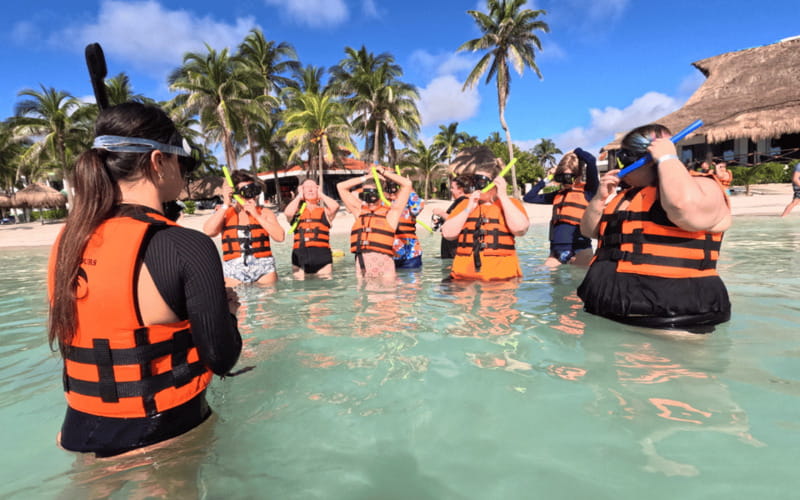 Riviera Maya: Tulum Ruins Tour, Turtle Swimming, Cenotes, and Lunch. - Akumal Turtle Snorkeling: Awe With a Reality Check