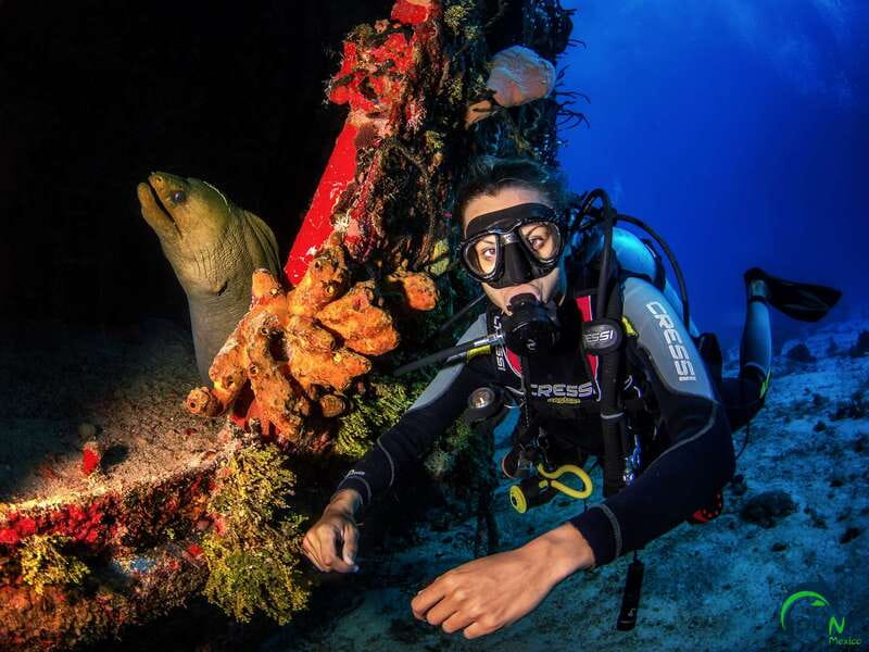 Scuba Dive in Playa del Carmen - 2 Dives (Certified divers) - The Logbook Reality: Ask Early About Your Paperwork