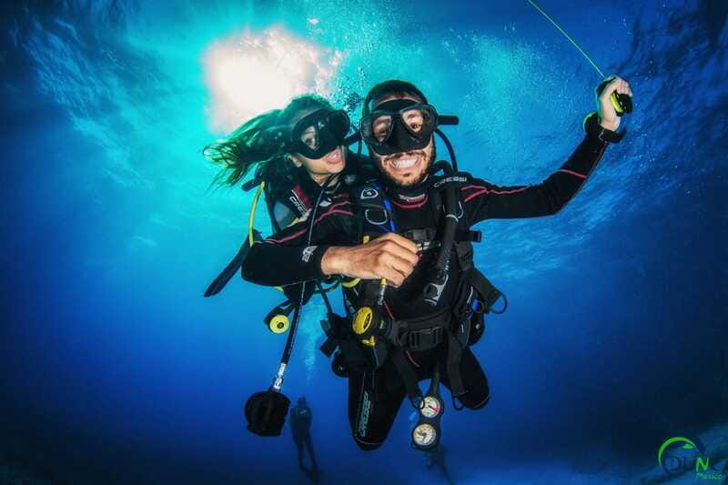 Scuba Dive in Playa del Carmen - 2 Dives (Certified divers) - Marine Life You Might Actually See in Clear Water