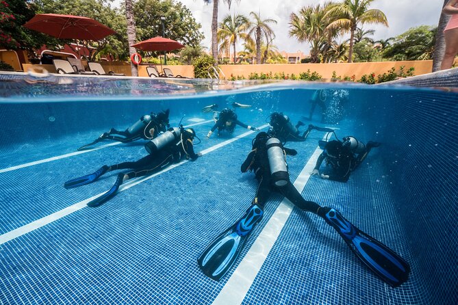 Scuba Diving for Beginners – Tulum Dive Machine - Casa Cenote training: clear water, calm nerves, and real coaching