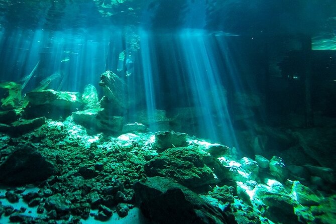 Scuba Diving in Cenote Dos Ojos from Playa del Carmen - Getting the safety briefing right before you enter the water