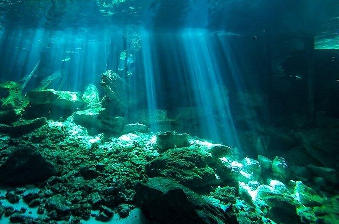 Scuba Diving in Cenote Dos Ojos from Playa del Carmen - Dos Ojos: two underwater routes and what they feel like