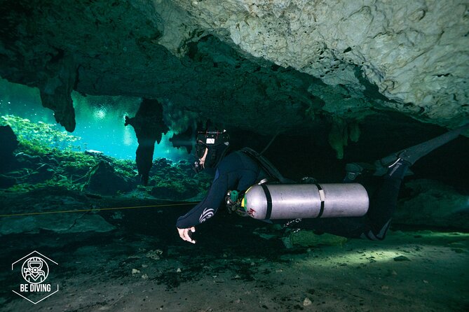 Scuba Diving in Cenotes - Cenotes on the menu: Casa Cenote, Dos Ojos, and other stops you might hit