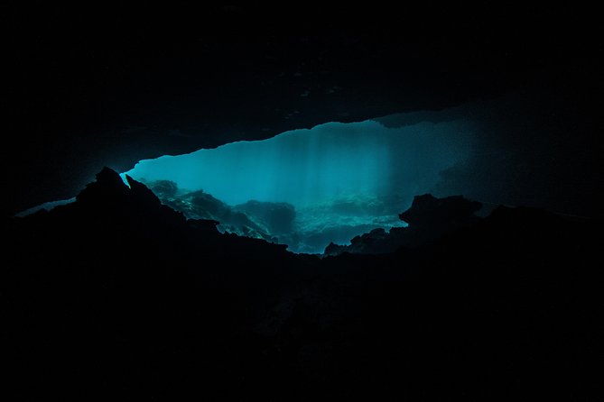 Scuba Diving in Cenotes - Who this is best for (and who should consider another option)