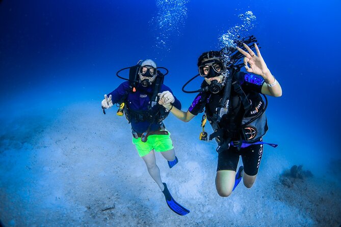 Scuba Referral Dives & Beach Club with Transportation In Riviera Maya - Getting from Playa del Carmen to the marina: transfers and the dock fee