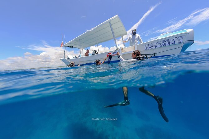 Scuba Referral Dives & Beach Club with Transportation In Riviera Maya - Gear and comfort: wetsuits, fins, lead belt, and boat setup