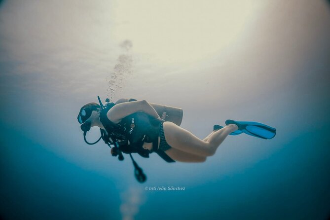 Scuba Referral Dives & Beach Club with Transportation In Riviera Maya - Guides and safety: small-group attention with bilingual support