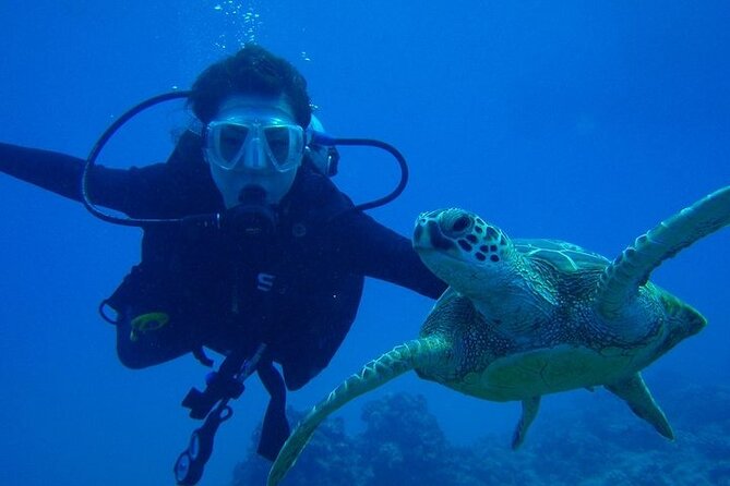 Scuba Referral Dives & Beach Club with Transportation In Riviera Maya - What the two-day referral program actually means for you