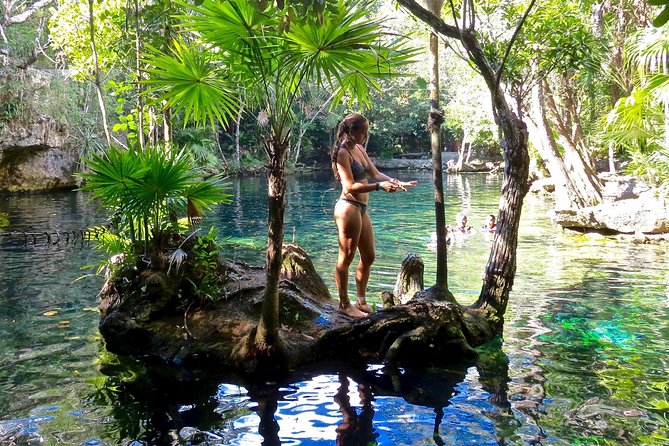 Sea turtle and cenotes half day Snorkeling Tour from Riviera Maya - Price and value: is $99 a fair deal?