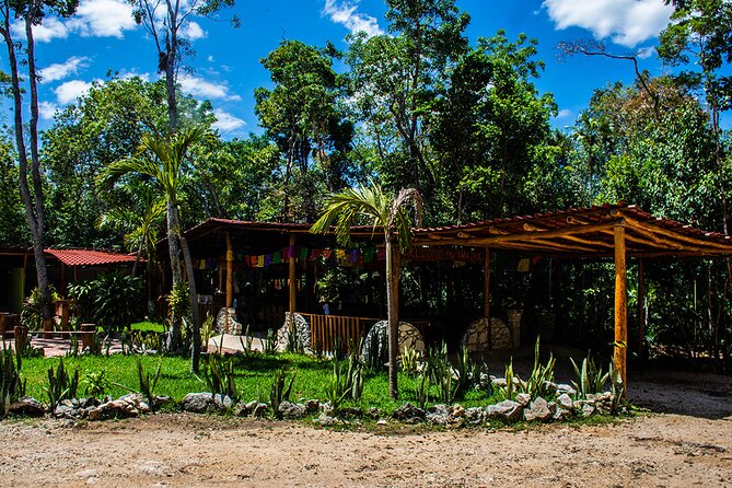 Shared ATV, Zipline, and Cenote Adventure from Playa del Carmen - Lunch and drinks: included energy that actually helps