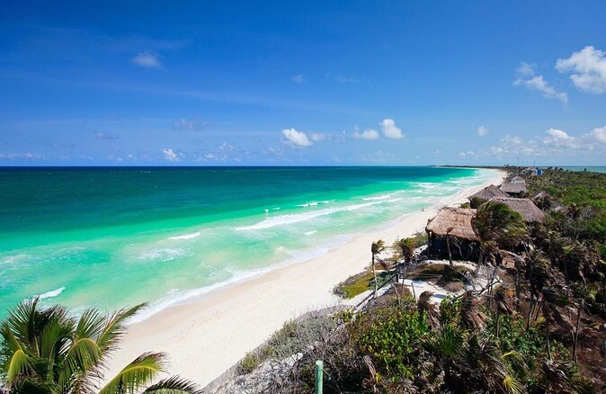 Sian Ka'an Adventure Full Day Trip to Punta Allen - Why Sian Ka’an From Tulum Feels Different Than a Beach Tour