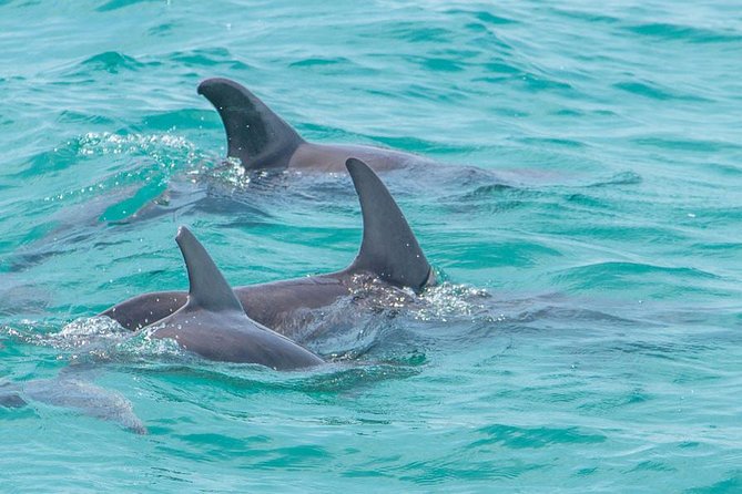Sian Ka'an Adventure Full Day Trip to Punta Allen - Guides and Captains: The Human Factor Behind Great Wildlife Days
