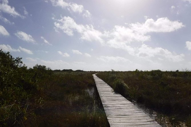 Sian Ka'an Adventure (Private, Full Day) - Lunch and Snacks: Included Food Without the Stress