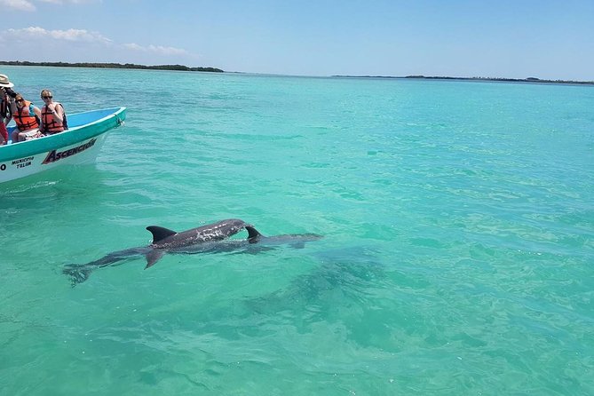 Sian Ka'an Biosphere Full Day Boat Tour with Lunch - Your 45-Minute Reef Snorkel: A Focused Swim Instead of a Wandering One