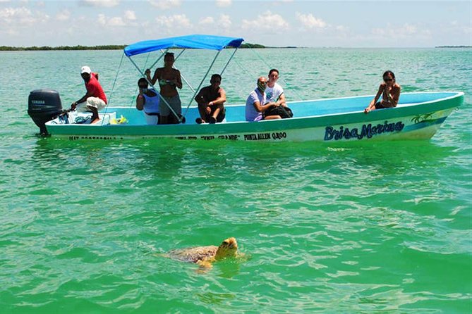 Sian Ka'an Biosphere Full Day Boat Tour with Lunch - Buffet Lunch at the End: More Than Just Fuel