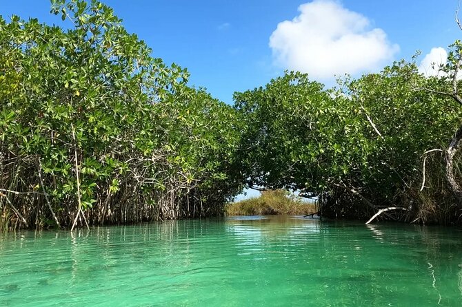 Sian Ka'an Biosphere Reserve Guided Tour - Sian Ka’an UNESCO and the lazy-river ride through mangroves