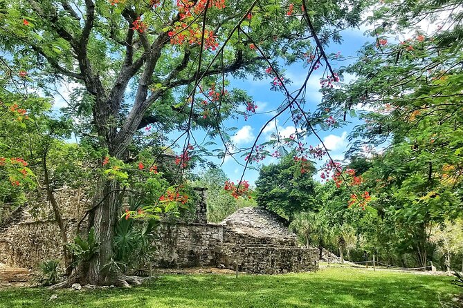 Sian Ka'an Biosphere Reserve Guided Tour - Should you book this Sian Ka’an and Muyil tour?
