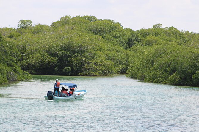 Sian Ka'an Classic - Snorkeling on the reef: worth it, but plan for sea conditions