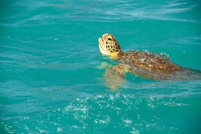 Sian Ka'an Classic - Stop at Punta Allen: natural pools, rest time, and a classic Mexican meal