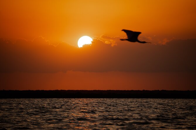 Sian Ka’an Sunset Private boat. - What the best wildlife spotting really depends on