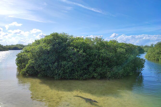 Sian Ka'an Trip from Playa del Carmen & Tulum - Snorkel gear is included, but water conditions can change the plan