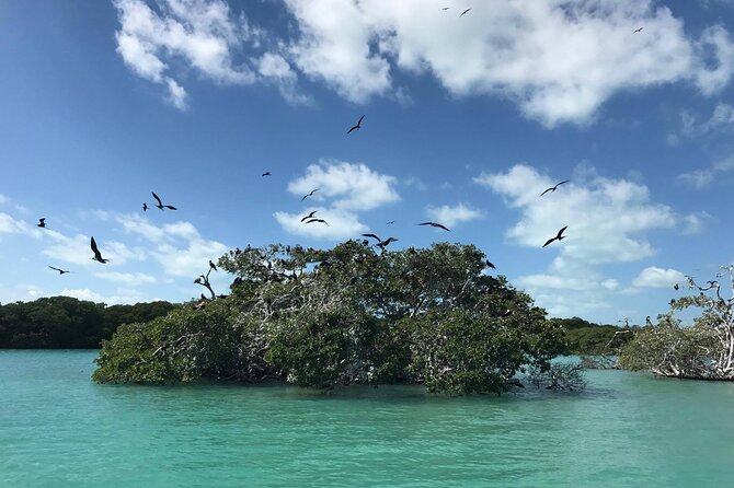 Sian Ka'an Trip from Playa del Carmen & Tulum - Group size and guide quality: the difference between a good day and a great day