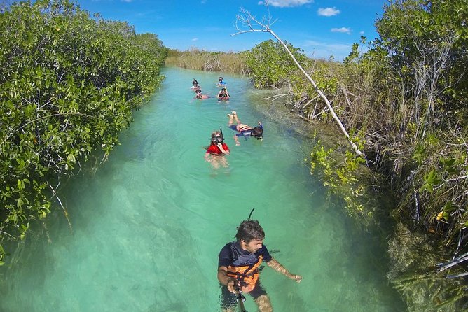 Sian Kaan Lagoons - Price and value: what $195 buys you for 3–4 hours