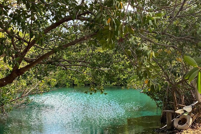 Small-Group 3 Cenotes Adventure Tour - Guides You Might Meet: The Real Secret Sauce