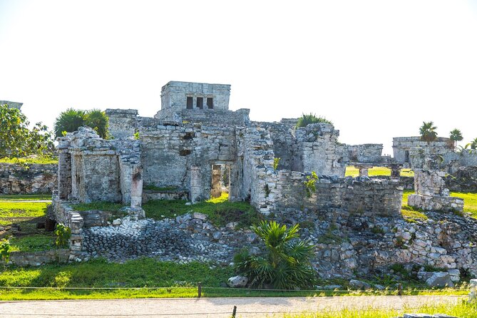 Small Group to Tulum Ruins Cenote Cave and Sea Turtles Snorkeling - Getting There From Playa del Carmen: Pickup and Timing That Matter