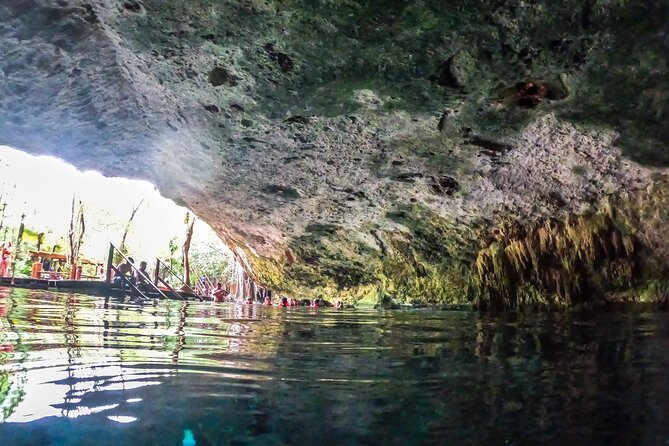 Small Group Tour to Cenote Cave and Sea Turtles snorkeling - Should You Book This Cenote and Sea Turtle Combo?