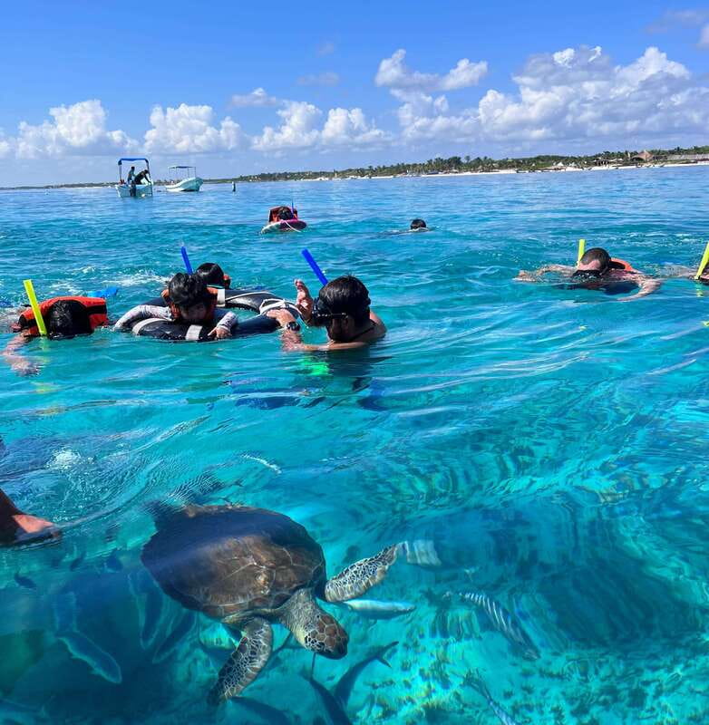 SNORKEL IN TULUM REEF, BOAT RIDE AND CALETA - Caleta on the Seashore: Swim Where Sargassum Is Supposed to Be Gone