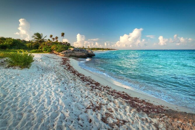 Snorkeling Adventure Tour Reef & Cenote - Getting There: Mirador TulumQROO 15 and an 8:45am Start