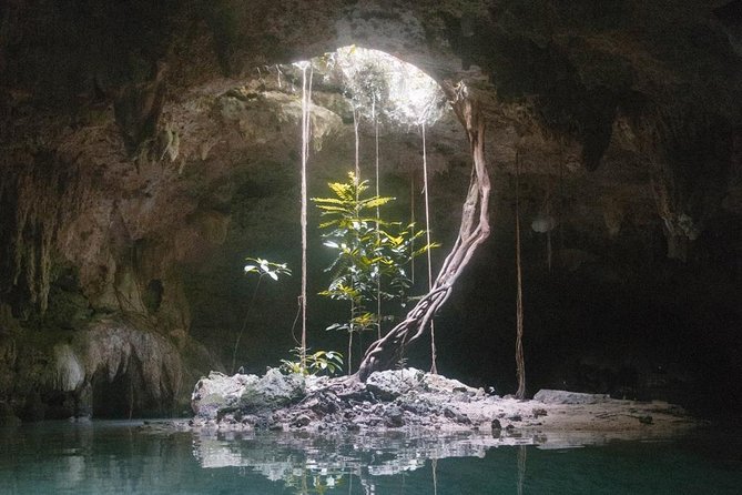 Snorkeling Adventure Tour Reef & Cenote - Small Group Energy: Why Up to 6 Travelers Matters