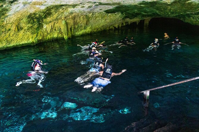 Snorkeling Experience with Turtles in Cenote in Riviera Maya - What’s included in your swim day (and what you should plan around)