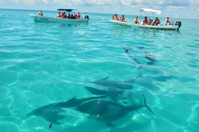 Snorkeling in Sian Ka'an - Punta Allen village transfer: Seeing more than just water