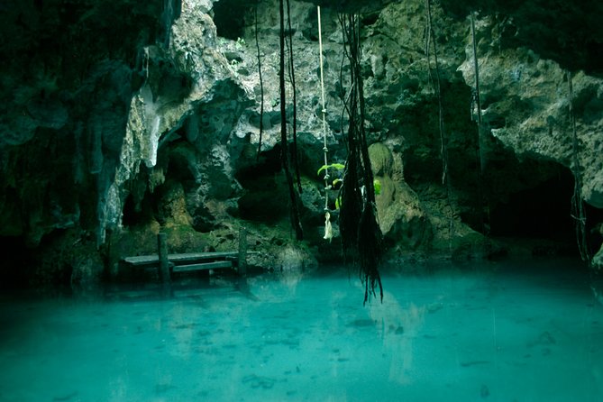 Snorkeling with Caribbean fish and private cenote exploration - Gear, Safety, and Fitness: What You Need to Bring (and What’s Provided)